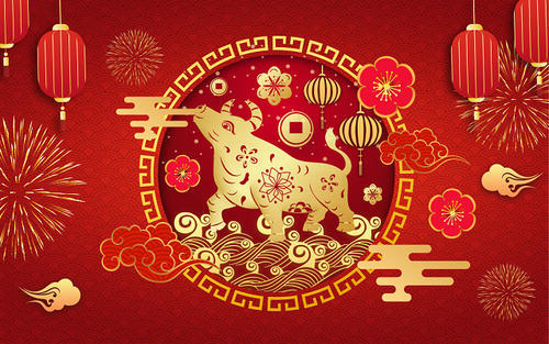 2021 New Aim, Net Step